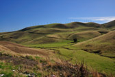 Altamont Pass Wind Farm | 41/143