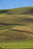 Altamont Pass Wind Farm | 42/143
