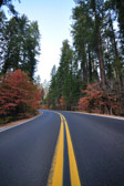 Big Oak Road | 54/143