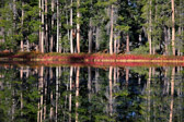 Siesta Lake | 55/143