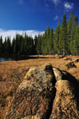 Tenaya Lake | 58/143