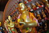 Temple of 10000 Buddhas | 27/100