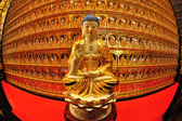 Temple of 10000 Buddhas | 28/100