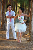 Vietnamese Wedding | 40/100