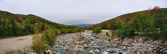 White Mountain National Park | 21/135