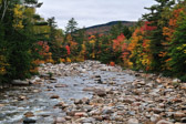 White Mountains National Park | 24/135