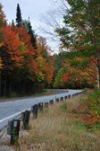 White Mountains National Park | 28/135