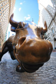Charging Bull | 89/135