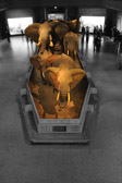 Museum of Natural History | 108/135