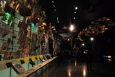 Museum of Natural History | 110/135