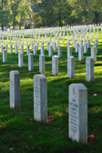 Washington - Arlington | 130/135