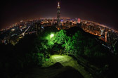 View from Elephant Hill | 25/71