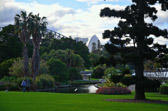 Sydney - Botanical Gardens | 20/240