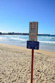 Sydney - Manly Beach | 47/240