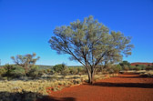 Kata Tjuta - Hiking Track | 95/240