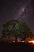 Watarrka Nationalpark - Kings Canyon Lodge | 113/240