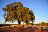 Watarrka Nationalpark - Kings Canyon Lodge | 114/240