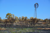 West-MacDonnell-Nationalpark | 124/240