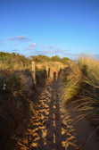 Great Ocean Road - Anglesea | 138/240