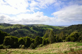 Great Ocean Road - Great-Otway-Nationalpark | 157/240