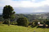 Coolamon Scenic Drive | 224/240