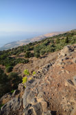Golan Heights | 40/70