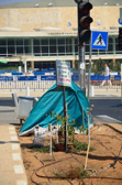 Tel Aviv - Rothschild Boulevard | 49/70