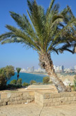 Tel Aviv - Old Jaffa | 58/70