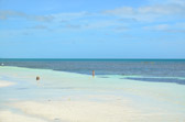 Bahia Honda State Park | 9/118