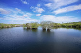 Anhinga Trail - Everglades | 32/118