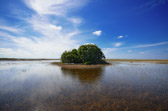 Coopertown - Everglades | 36/118
