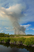 E Tamiami Trail - Everglades | 40/118