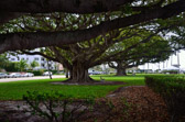 Palm Beach - Park Center | 90/118