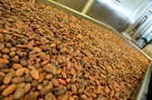 Zotter Choclate Factory - Cocoa Beans | 1/20