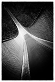 Vancouver - Capilano Suspension Bridge Park | 15/125