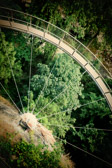 Vancouver - Capilano Suspension Bridge Park | 16/125