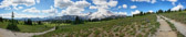 Mount Rainier National Park | 40/125
