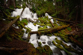 Oregon - Clearwater Falls | 56/125