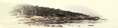 17 Mile Drive - Cypress Point Lookout | 81/125
