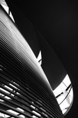 Kuppel - Reichstag | 14/20