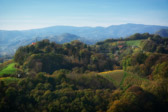 Maribor  - Wine yards | 5/15