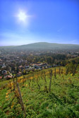 Maribor  - Wine yards | 7/15