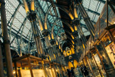 Oxford - Museum of Natural History | 16/25