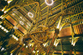 Oxford - Museum of Natural History | 18/25