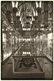 Oxford - Museum of Natural History | 19/25