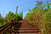 Südkorea - Seoul - Changuimun Gate - Chitywall | 35/100