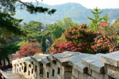 Südkorea - Seoul - Changuimun Gate - Chitywall | 36/100