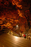 Südkorea - Seoul - Namsan Park | 43/100