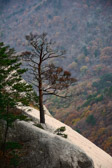 Südkorea - Sokcho-si - Seoraksan Nationalpark - Ulsanbawi peak | 59/100