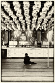 Südkorea - Busan - Nampo Temple | 86/100